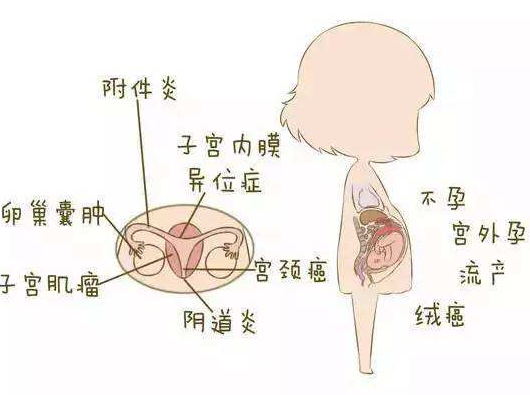 阴道分泌物香蕉视频下载安装分析阴道炎早期症状
