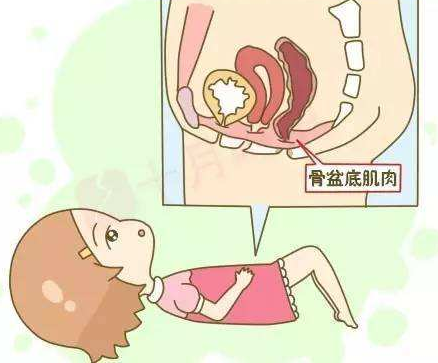 阴道分泌物香蕉视频下载安装分析女性阴道干燥的原因