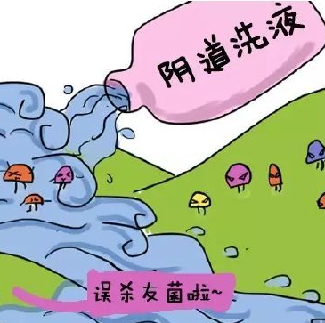阴道分泌物香蕉视频下载安装提醒哪些信号女性应该进行阴道清洁度检查