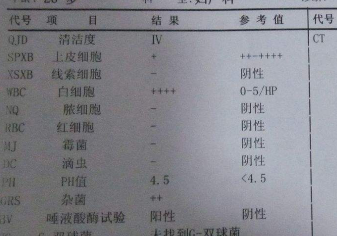 妇科白带香蕉视频下载安装谈阴道分泌物化验单要怎么看？