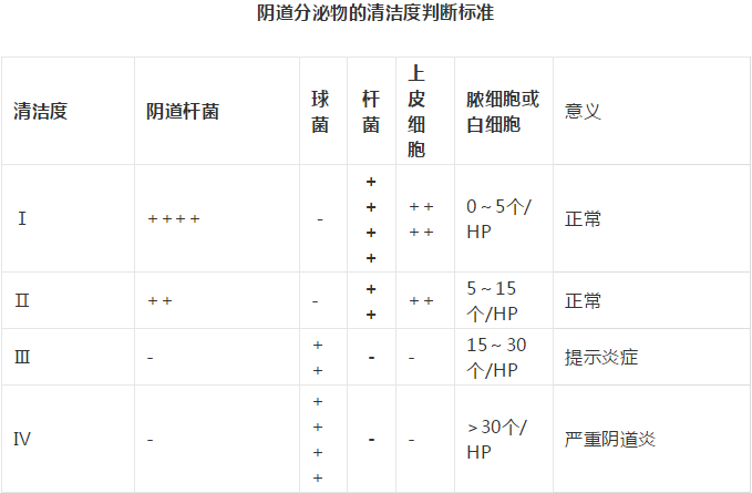 全自动阴道分泌物香蕉视频下载安装剖析阴道分泌物的洁净度规范