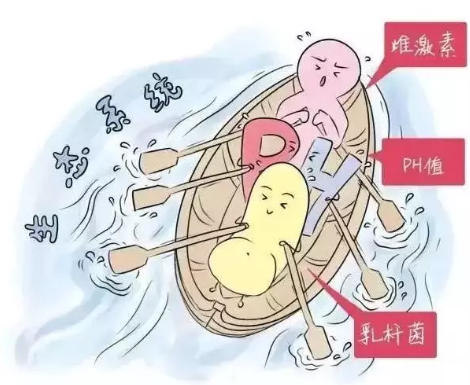 阴道微生态香蕉视频下载安装厂家解析女性阴道分泌物的奥妙