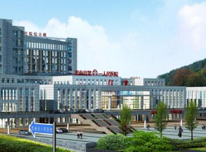思南县人民医院采购全自动阴道分泌物香蕉视频下载安装