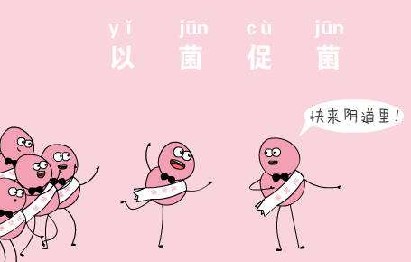 阴道微生态香蕉视频下载安装厂家针对女人阴道微生态的解析