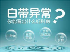 2020年山东91香蕉下载安装全自动【白带香蕉视频成年人】厂家品牌排名