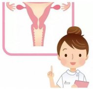 山东91香蕉下载安装gk全主动阴道分泌物香蕉视频下载安装器设备凭仗自身技能赢得客户信赖