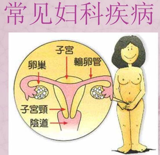 医院全自动白带香蕉视频成年人检测女人妇科3种症状，谨防子宫长瘤！