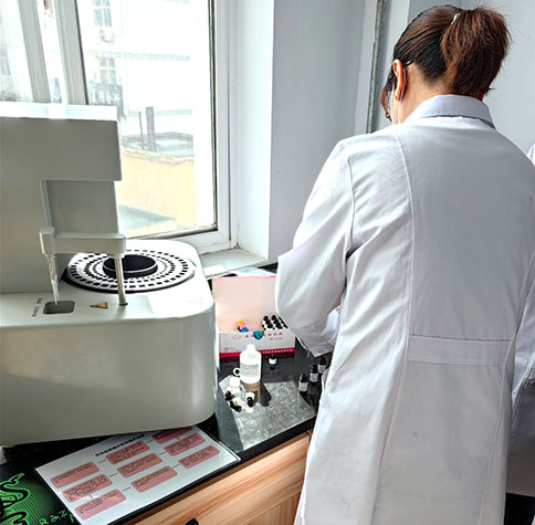 全自动生殖道分泌物香蕉视频下载安装在宕昌县疾病预防控制中心完成装机