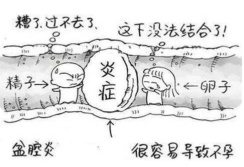 全自动妇科阴道分泌物香蕉视频成年人检测辨别妇科炎症复杂多样！