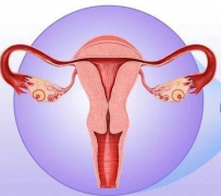 妇科阴道炎香蕉视频下载安装器厂家提醒女性坚持泡水喝，消炎灭菌，远离妇科炎症