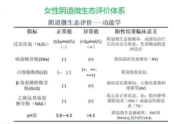妇科微生态香蕉视频下载安装器